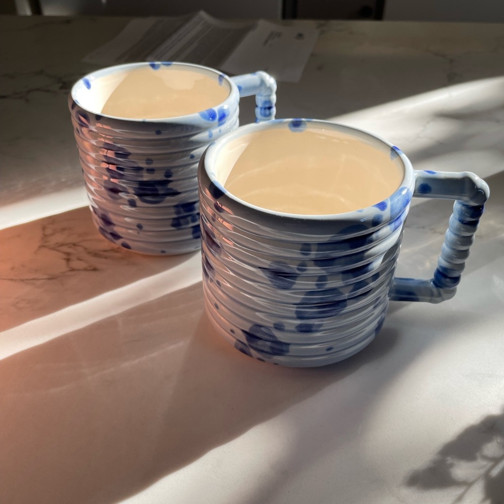 People vía plants Gozarian Mug with Horizontal Texture in Cobalt Splotch